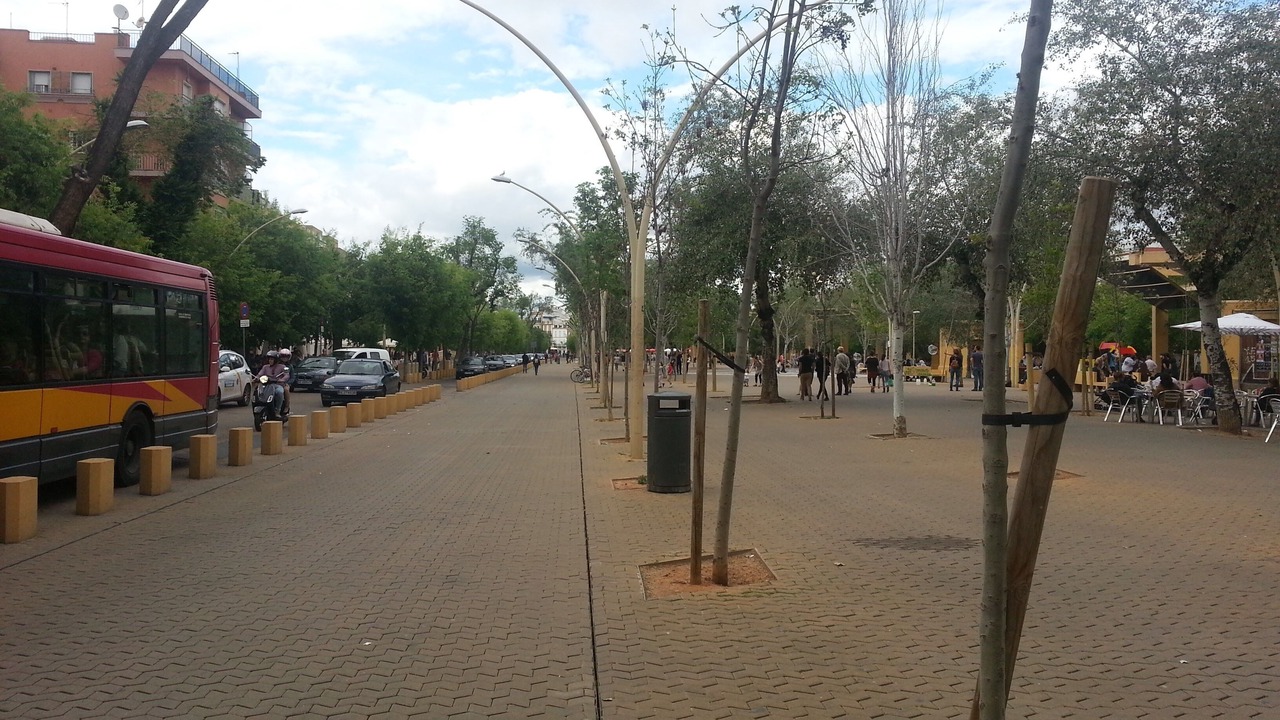Photo of Outdoor in Alameda