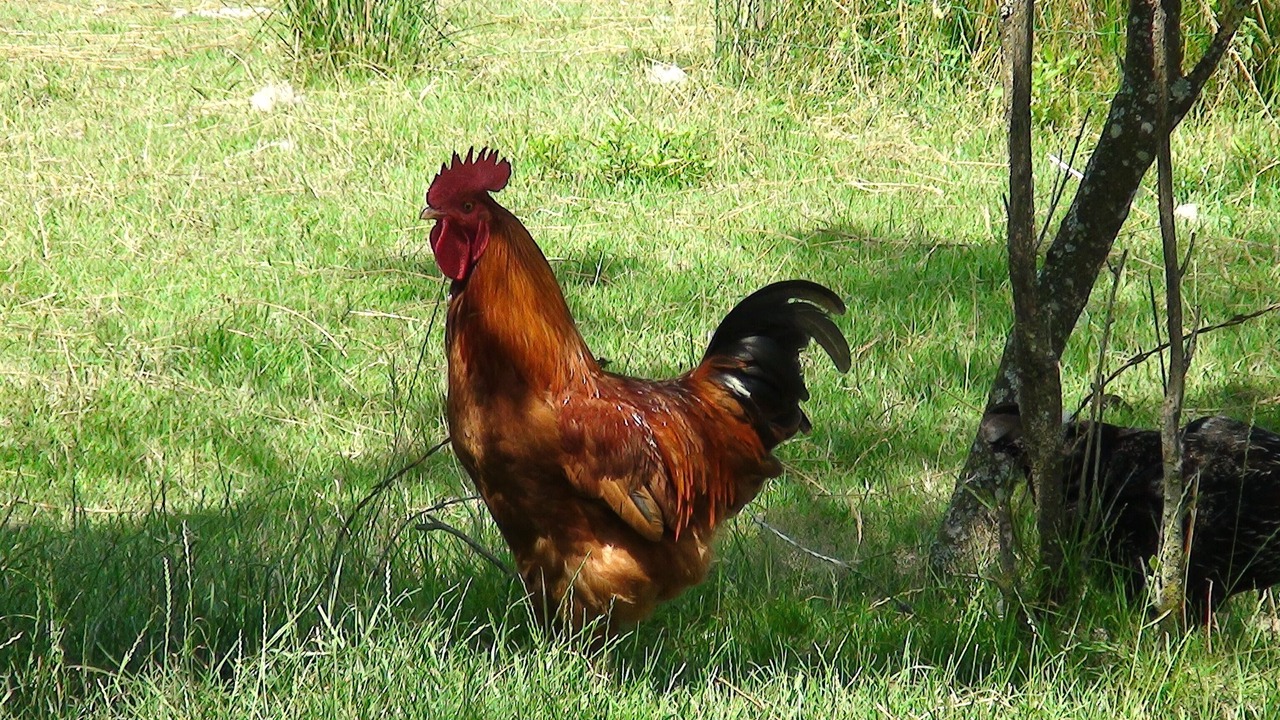 Photo of Outdoor in Cosges