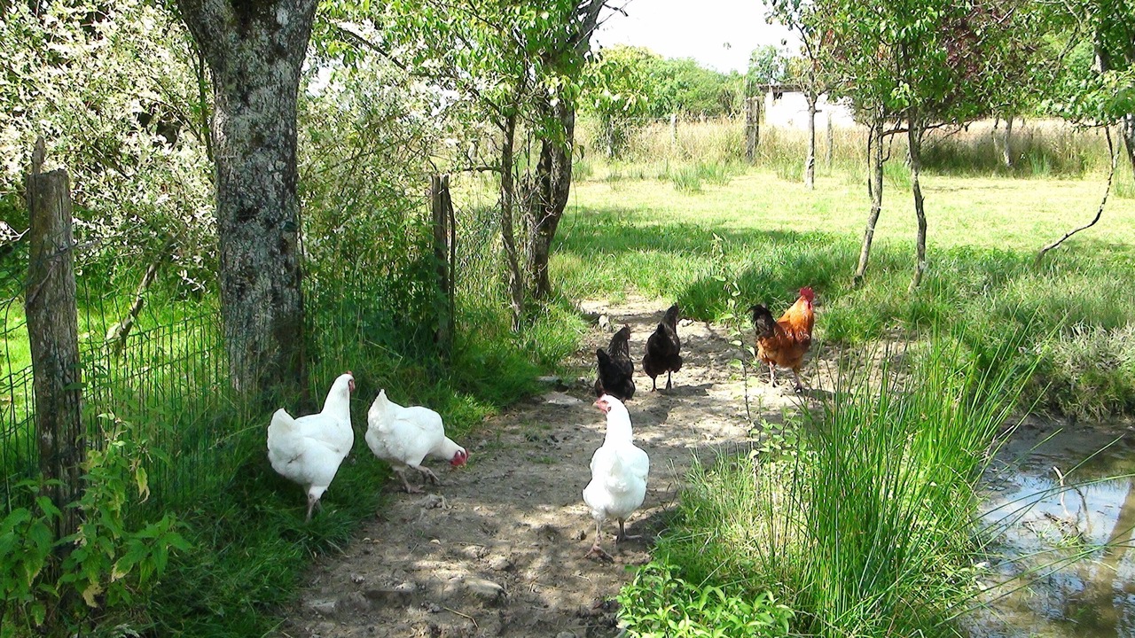 Photo of Outdoor in Cosges