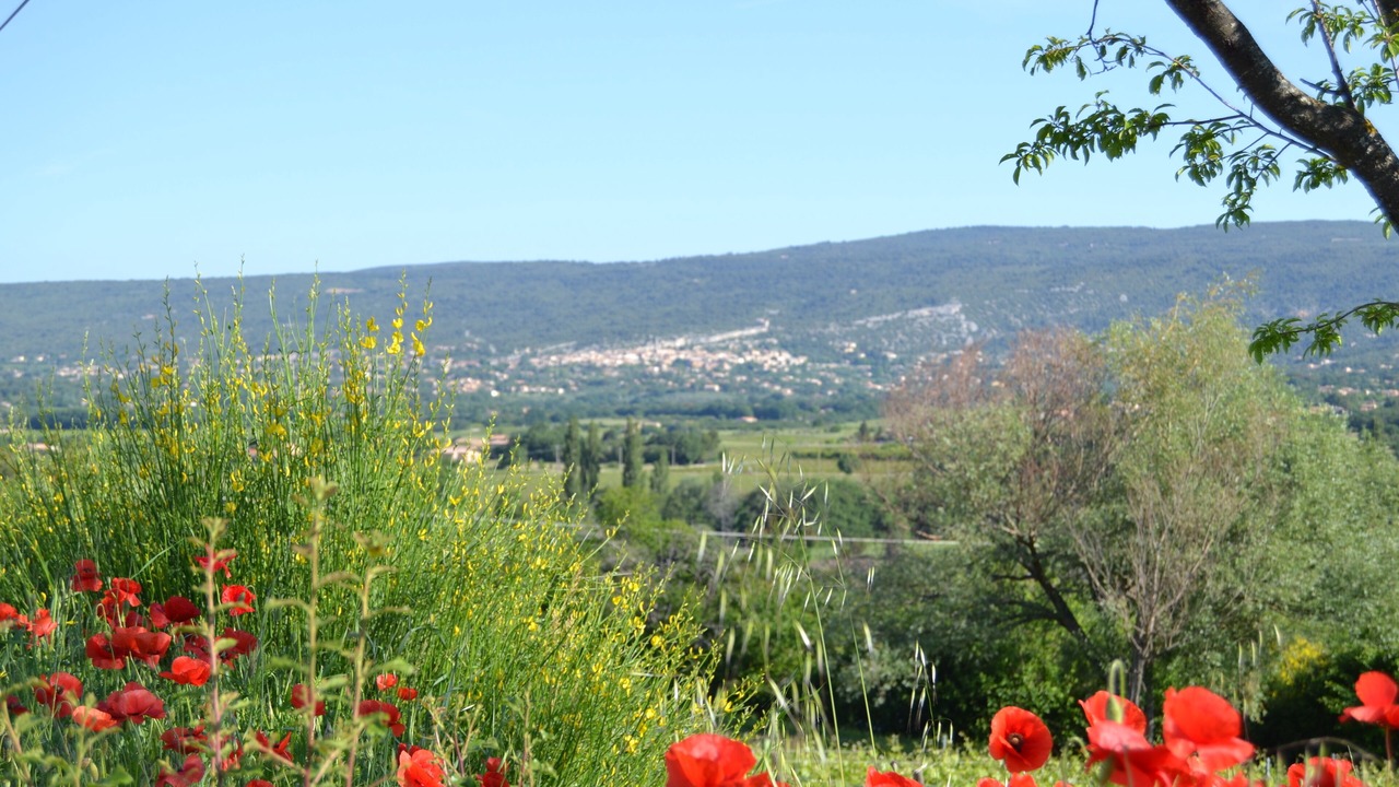 Photo of Outdoor in Villars