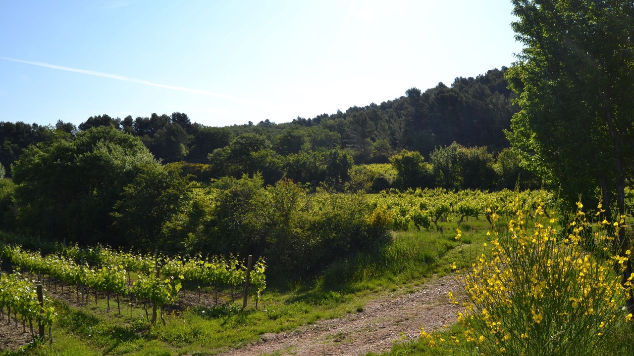 Photo of Outdoor in Villars