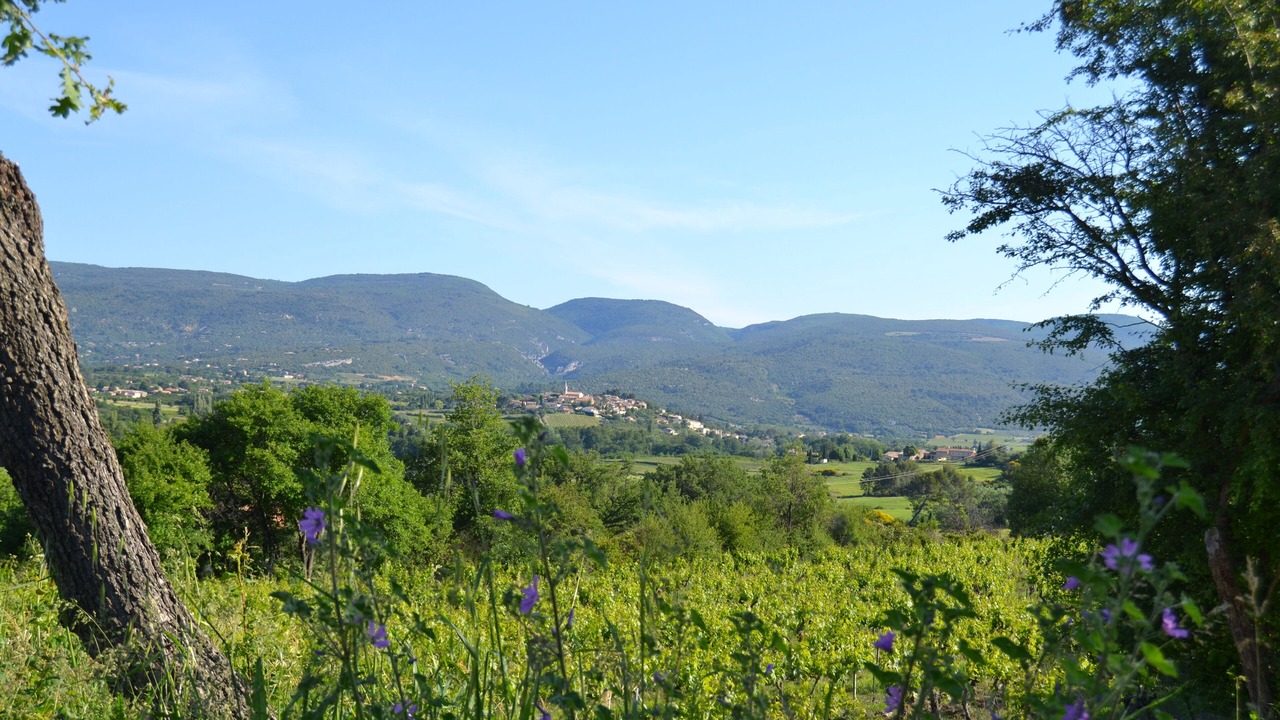 Photo of Outdoor in Villars