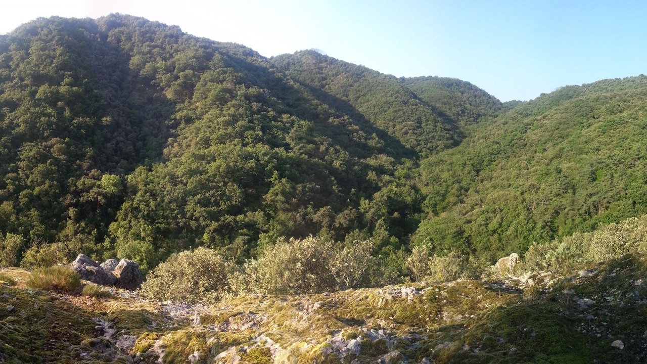 Photo of Outdoor in Tournon-sur-Rhone