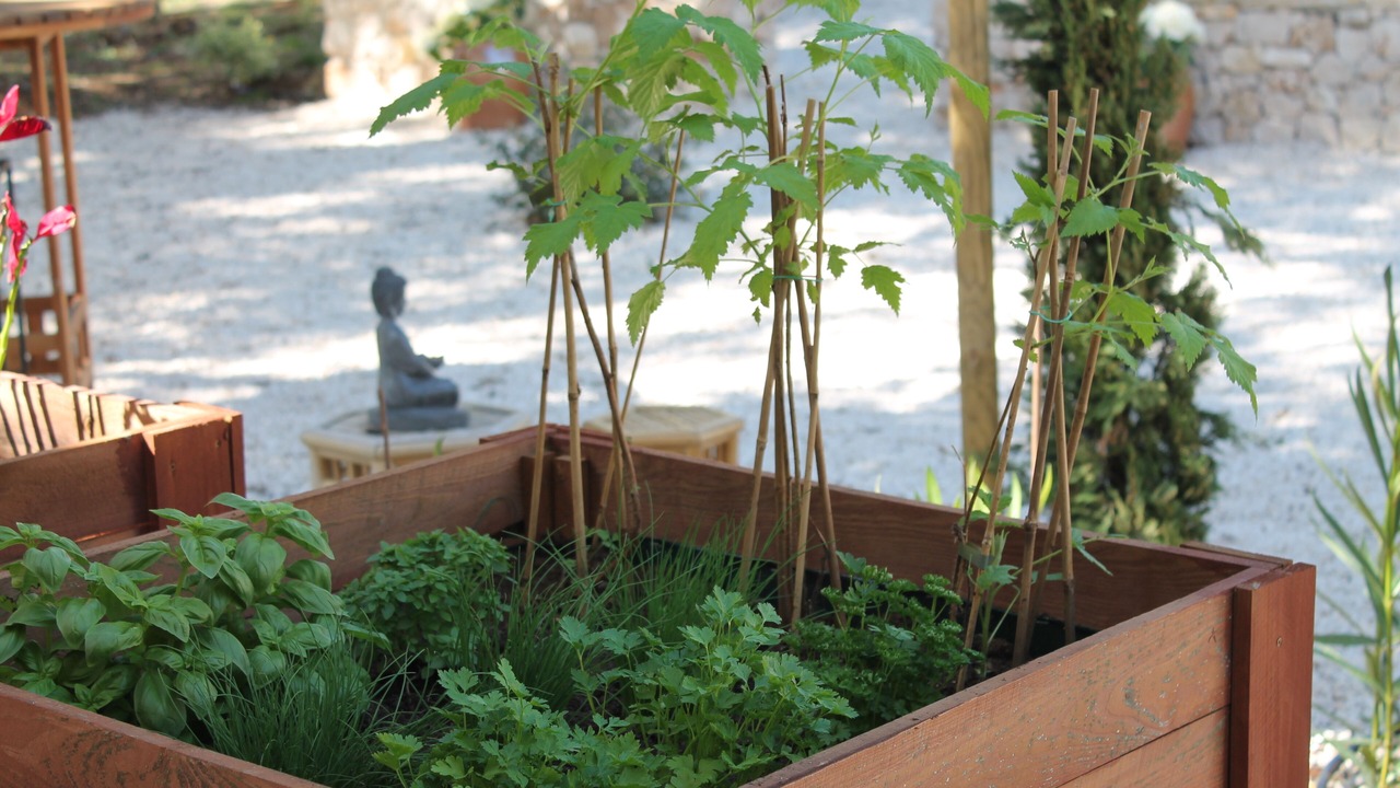 Photo of Outdoor in Garrigues-Sainte-Eulalie