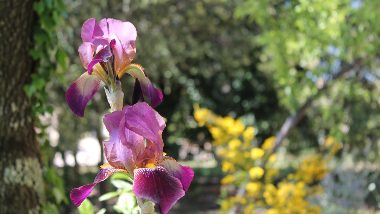Photo of Outdoor in Garrigues-Sainte-Eulalie