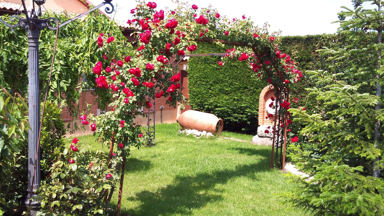 Photo of Outdoor in Solosancho