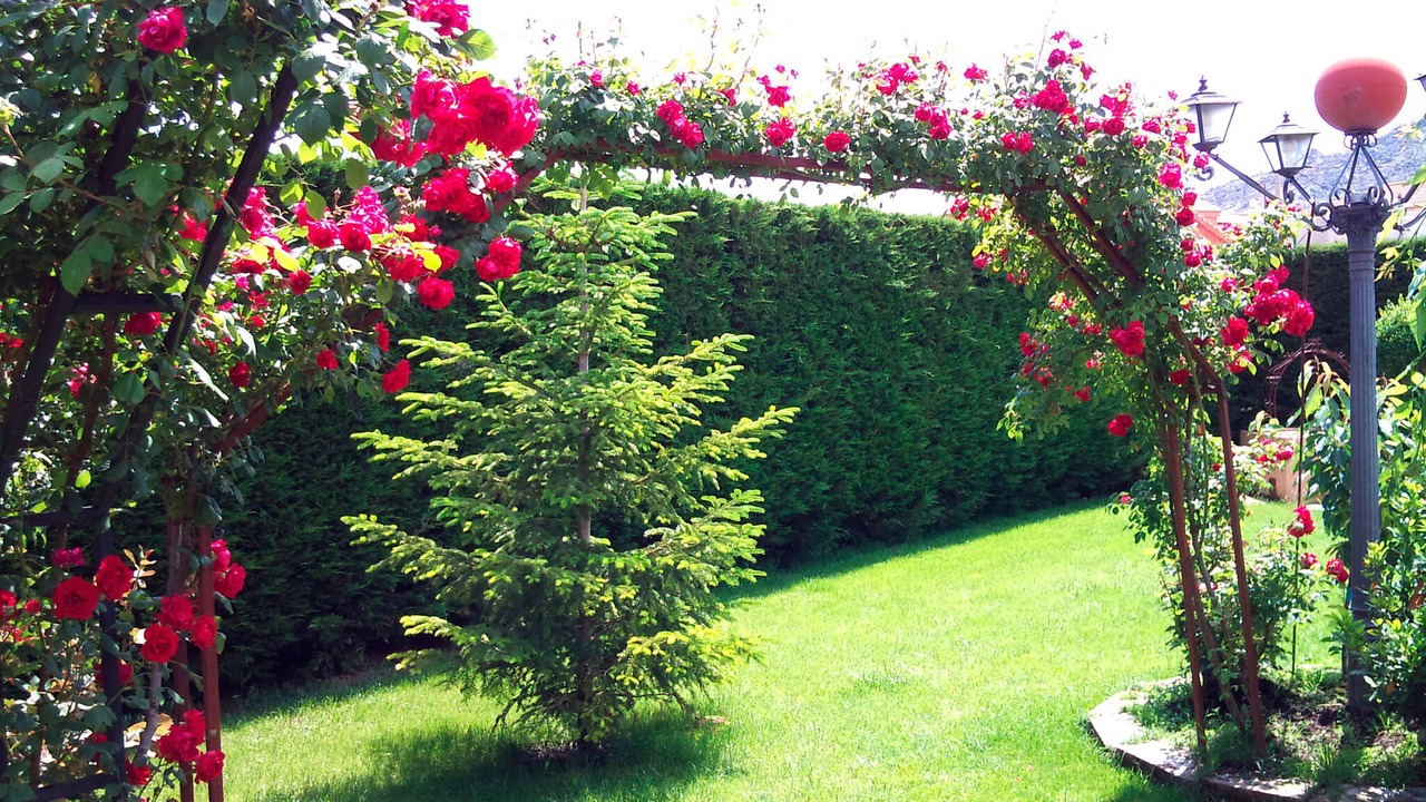 Photo of Outdoor in Solosancho