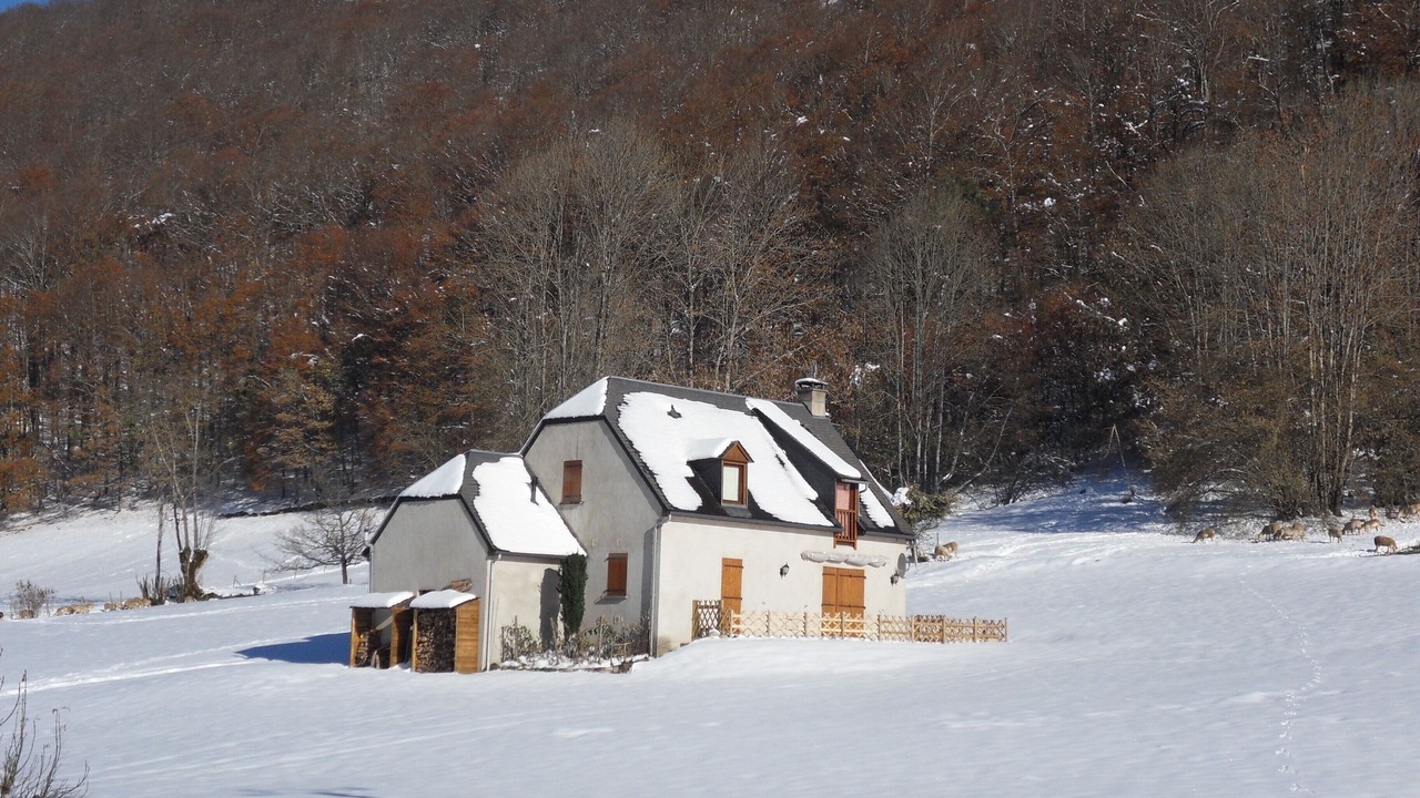 Photo of Outdoor in Campan