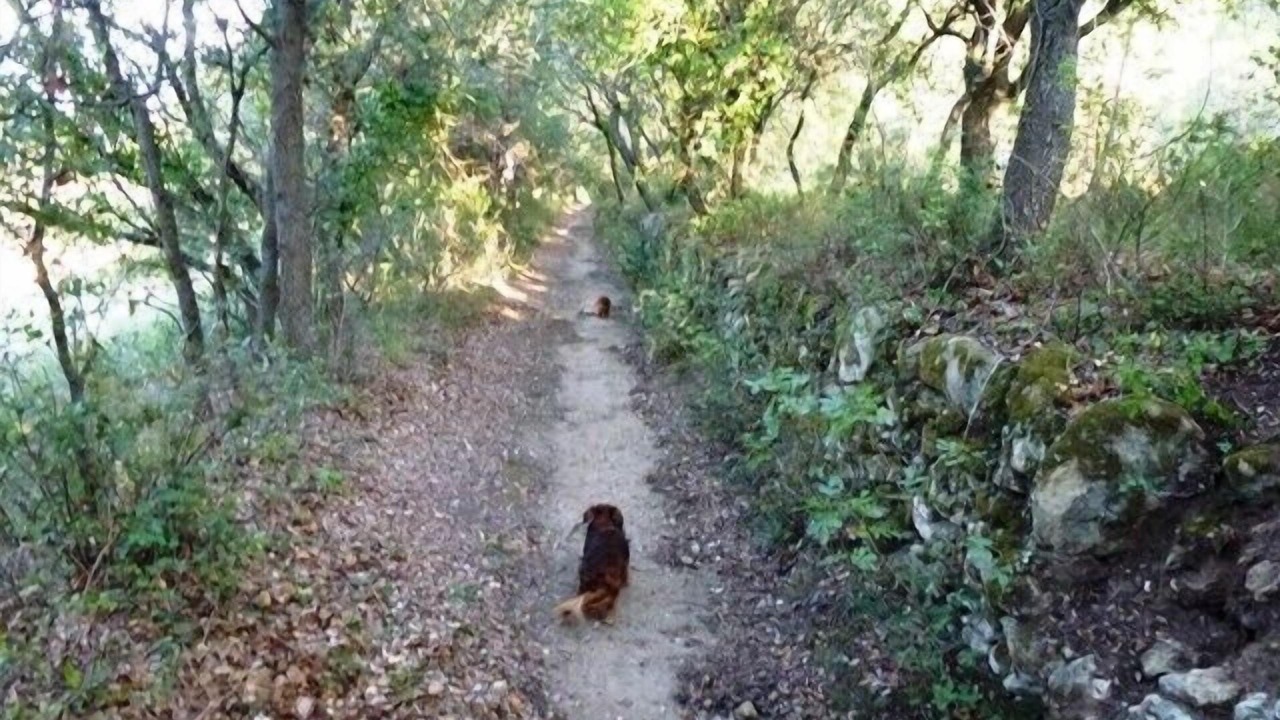 Photo of Outdoor in Eyguieres