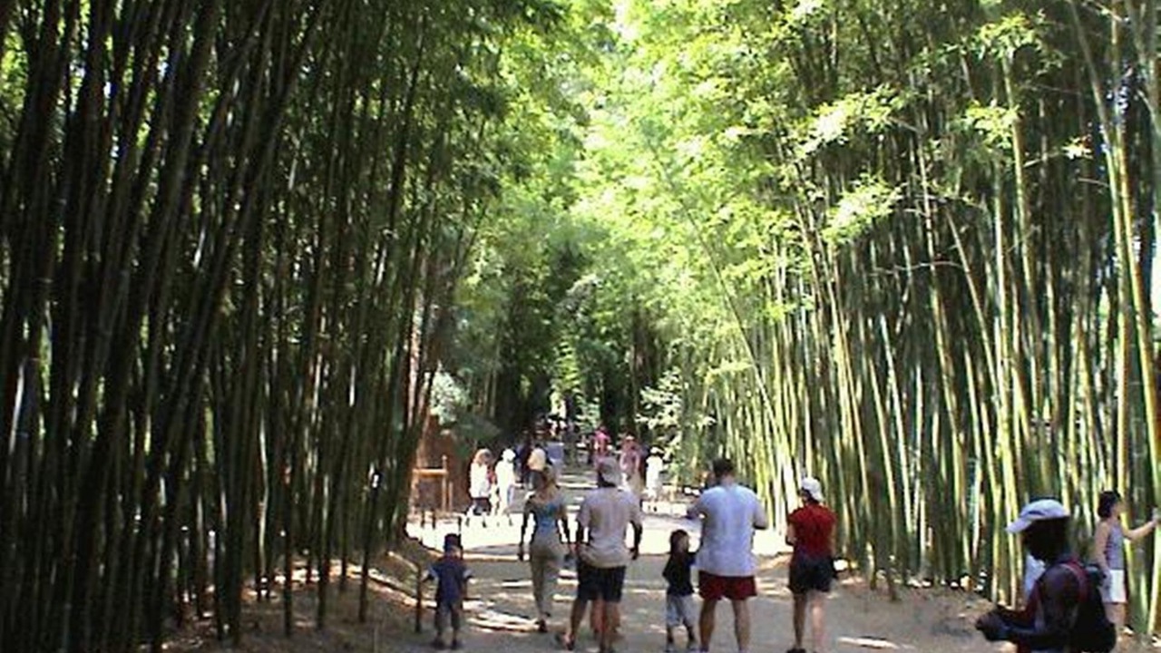 Photo of Outdoor in Les 3 Ponts
