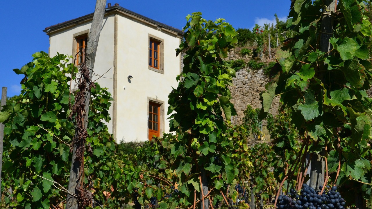 Photo of Outdoor in Tain-l'Hermitage