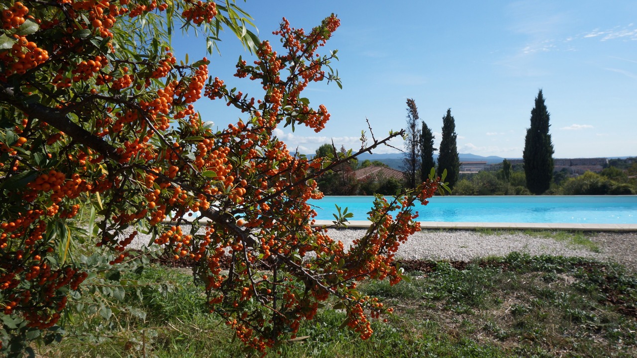 Photo of Outdoor in Nord