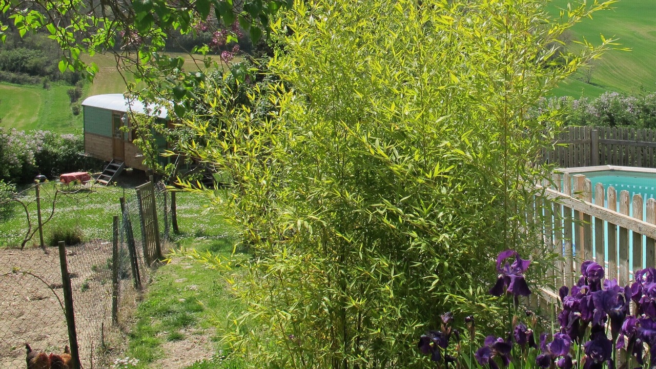 Photo of Outdoor in Montmaur