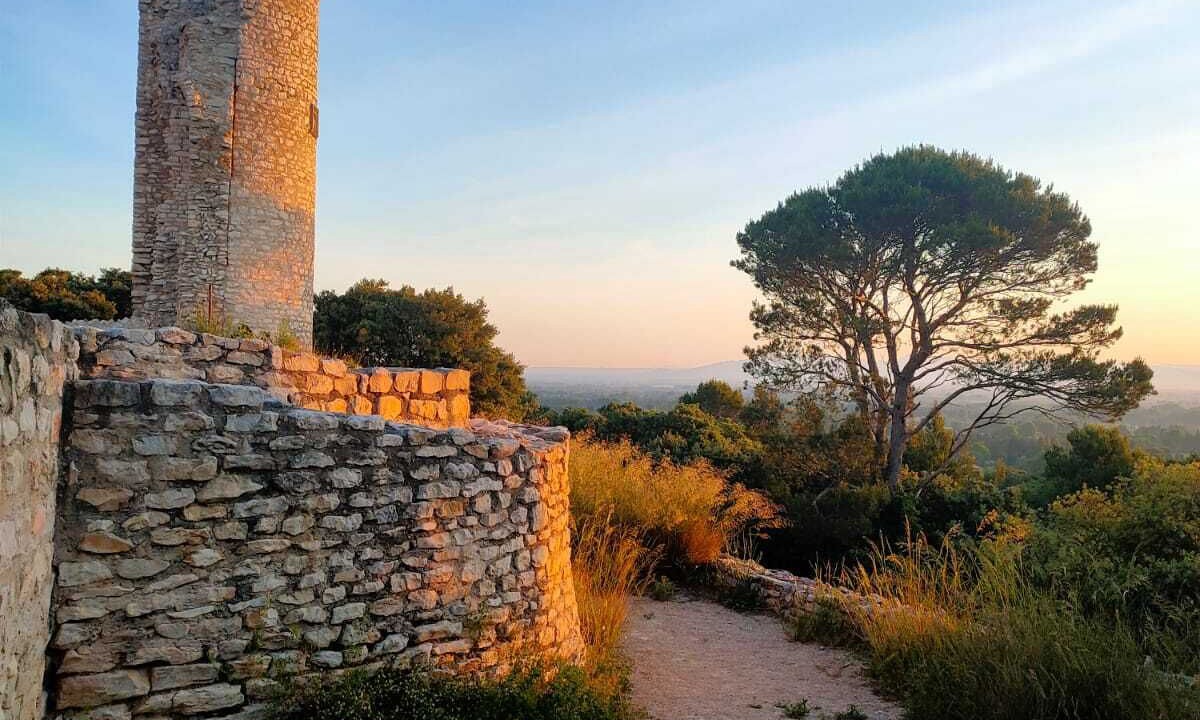 Photo of Outdoor in Le Thor