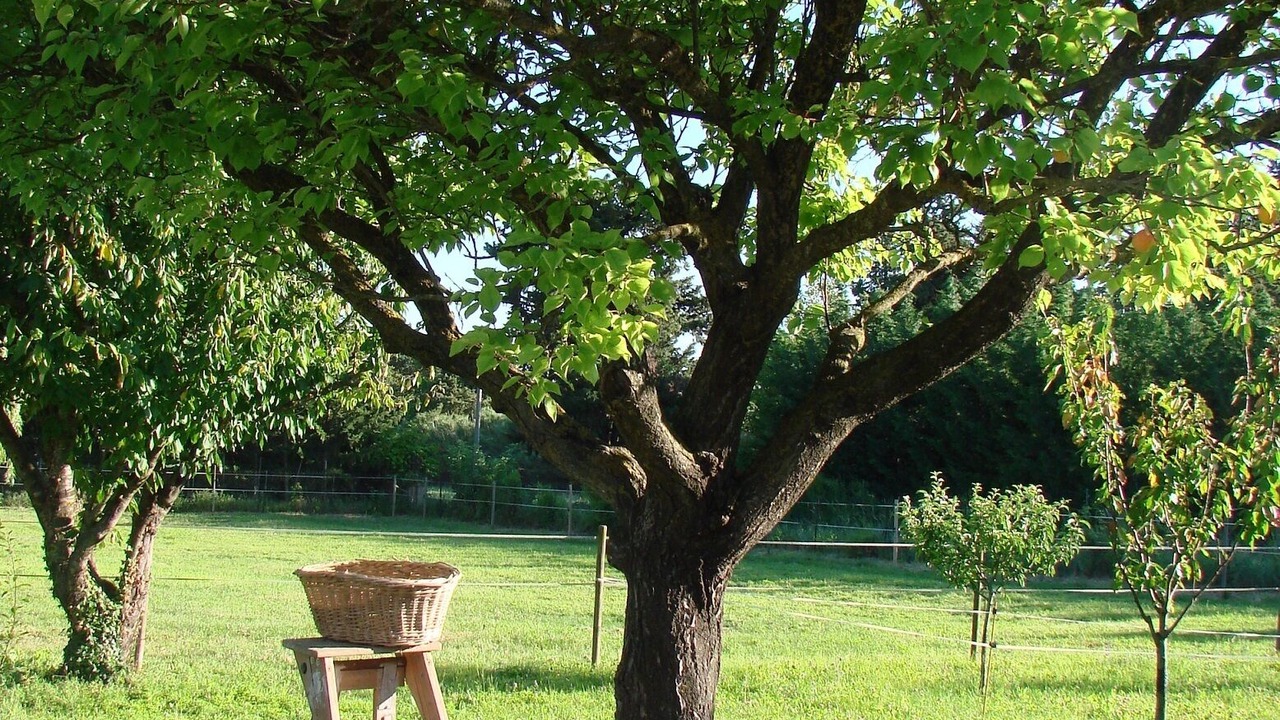 Photo of Outdoor in Le Thor