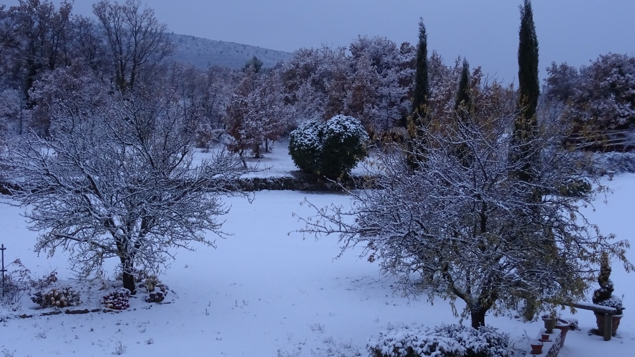 Photo of Outdoor in Lacoste