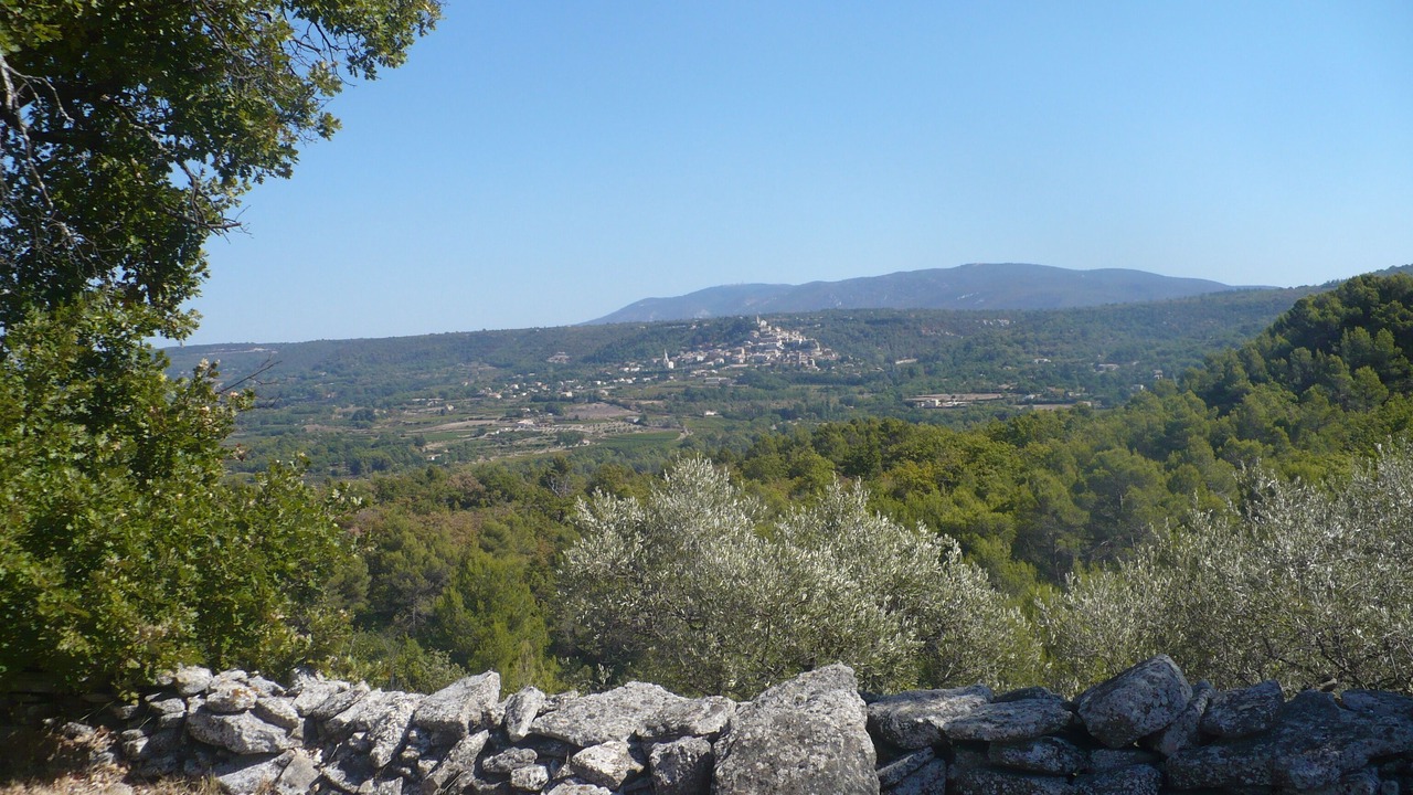 Photo of Outdoor in Lacoste