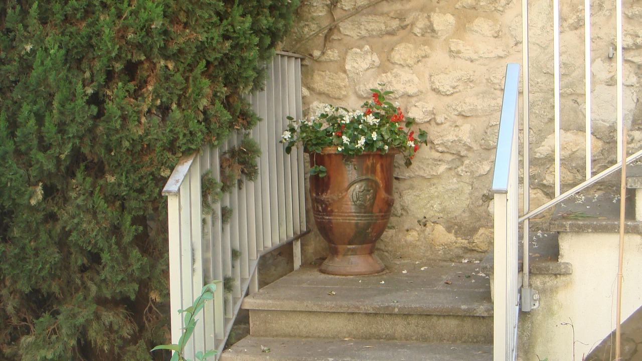 Photo of Outdoor in Avignon City Centre