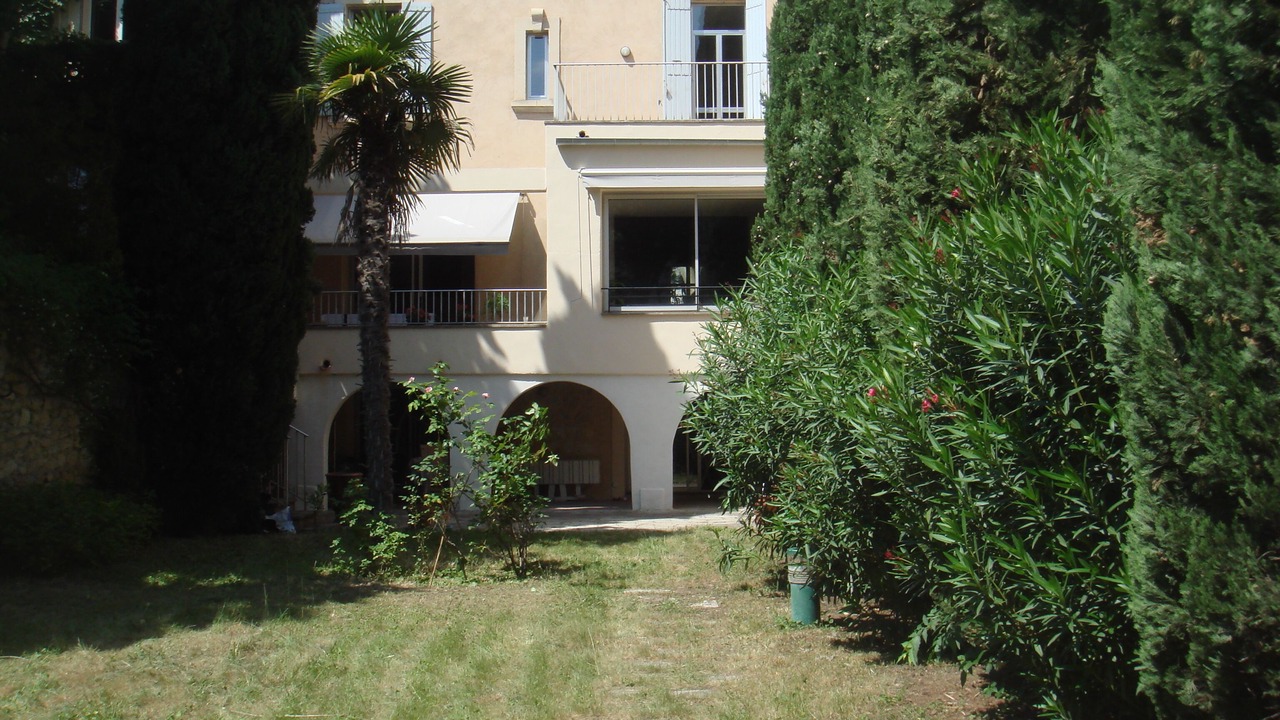 Photo of Outdoor in Avignon City Centre