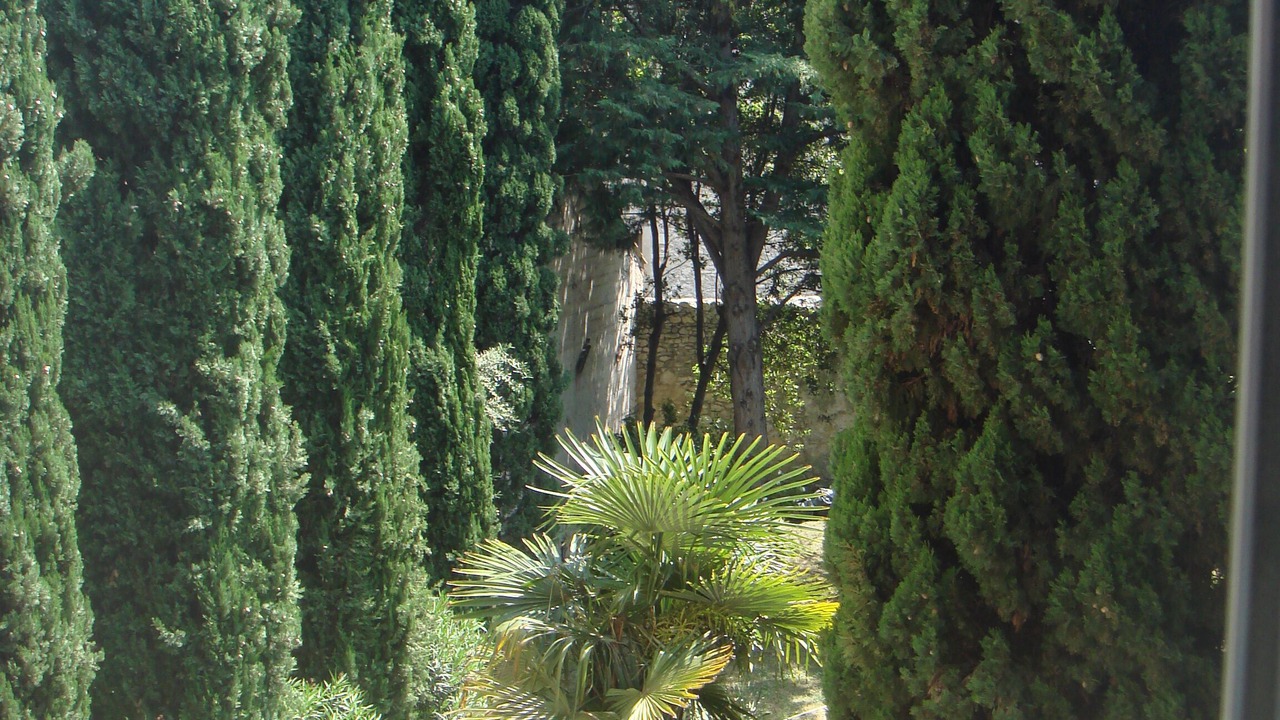 Photo of Others in Avignon City Centre