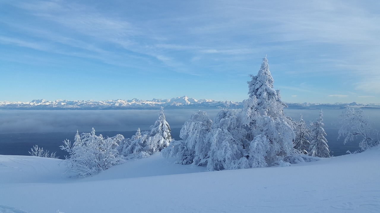 Photo of Others in Mijoux
