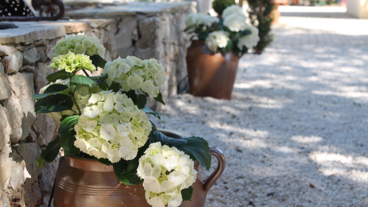 Photo of Outdoor in Garrigues-Sainte-Eulalie