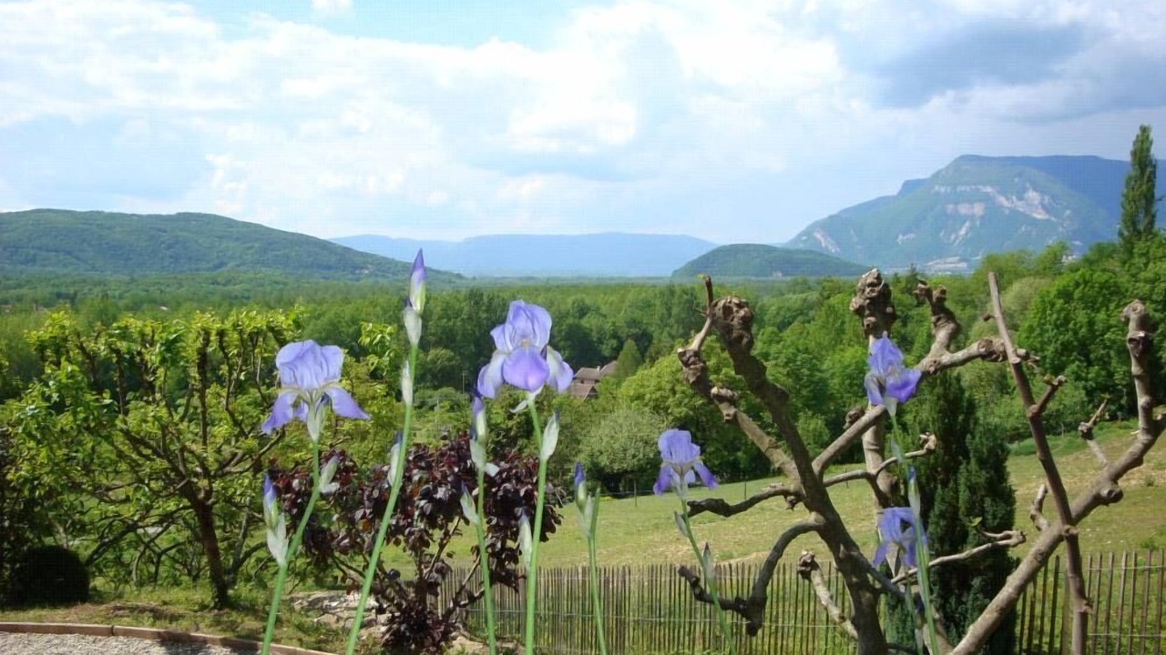 Photo of Outdoor in Chindrieux