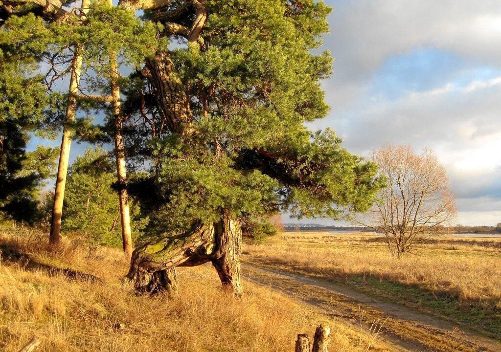 Photo of Outdoor in Angern