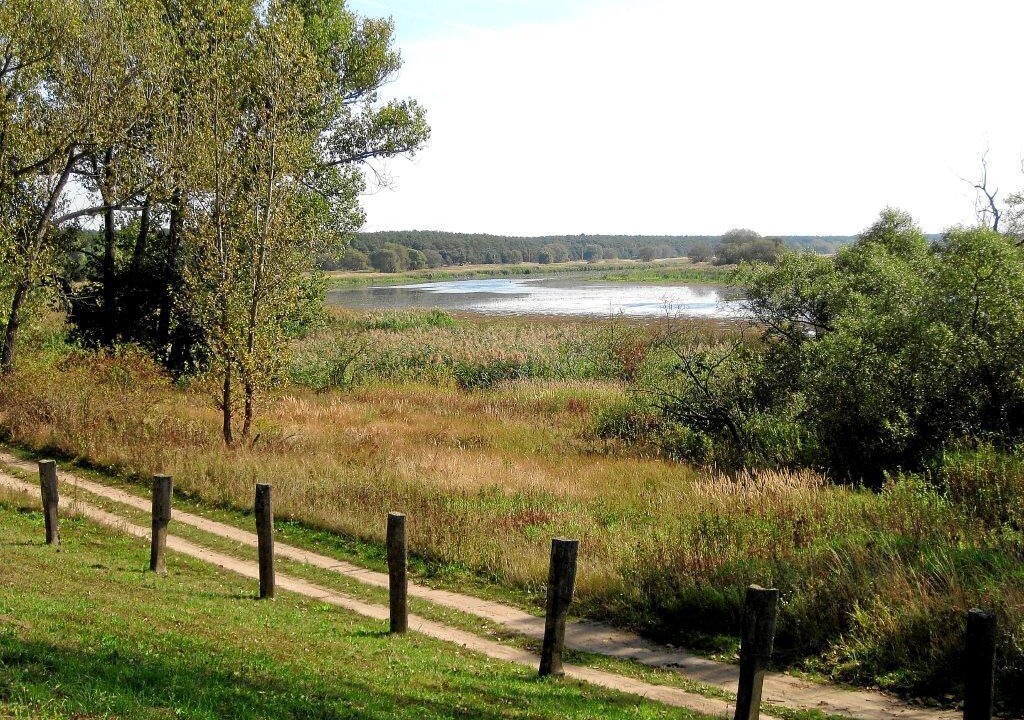 Photo of Outdoor in Angern