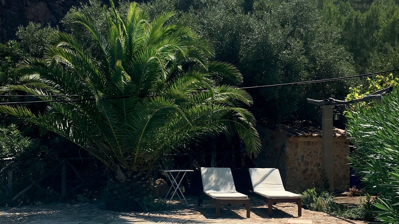 Photo of Outdoor in Banyalbufar