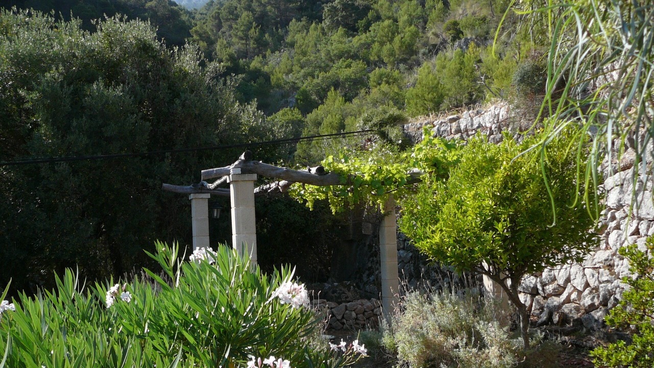 Photo of Outdoor in Banyalbufar