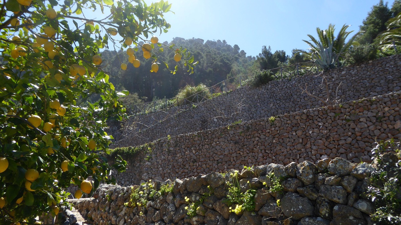 Photo of Outdoor in Banyalbufar