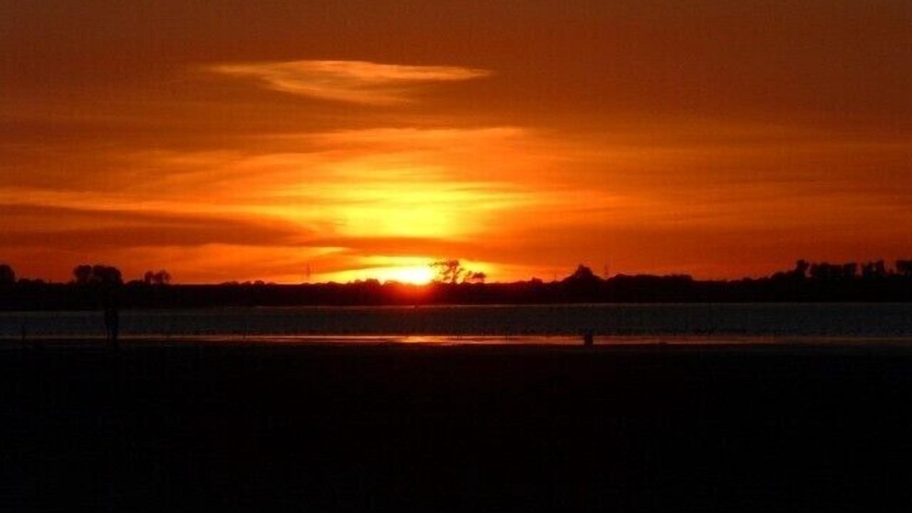 Photo of Others in Dangast