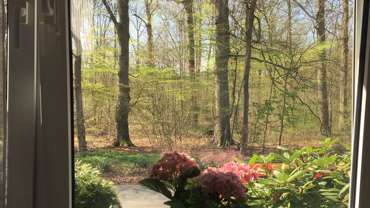 Photo of Others in Wilschenbruch