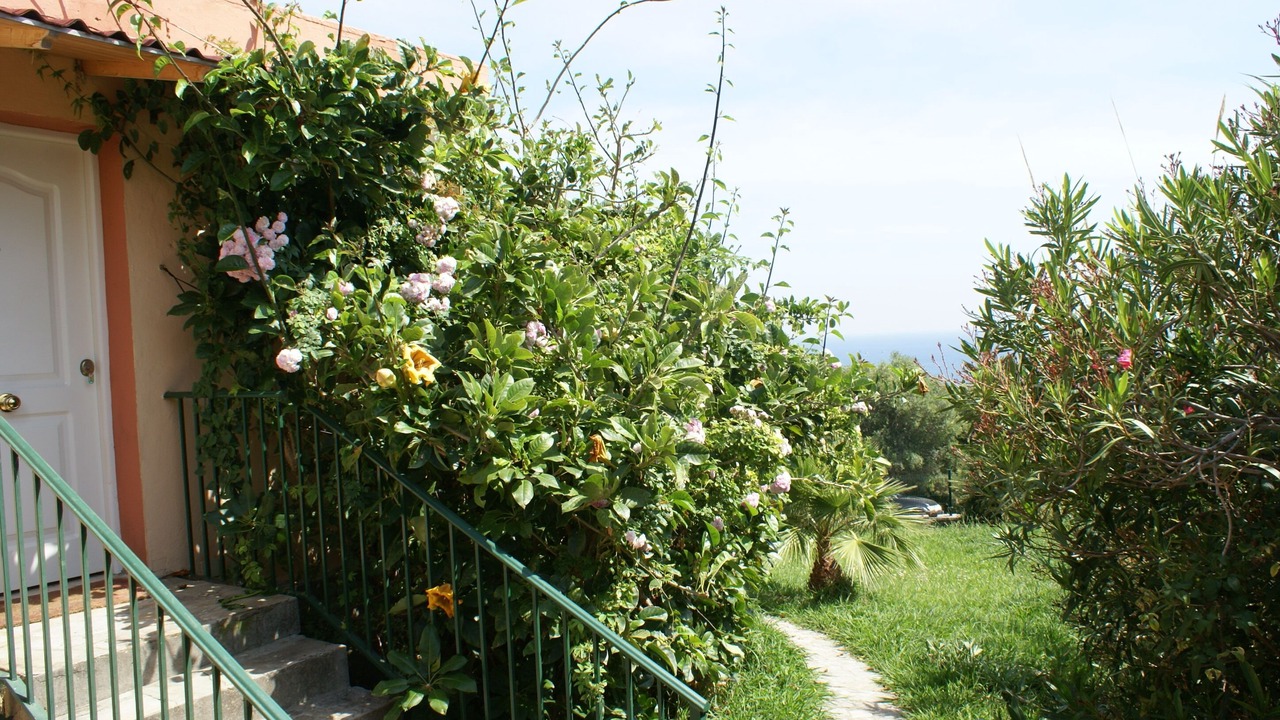 Photo of Outdoor in Valdevaqueros
