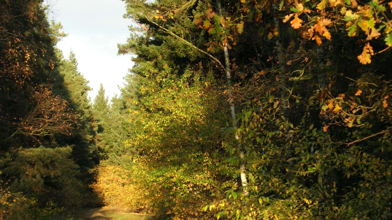 Photo of Outdoor in Rathenow