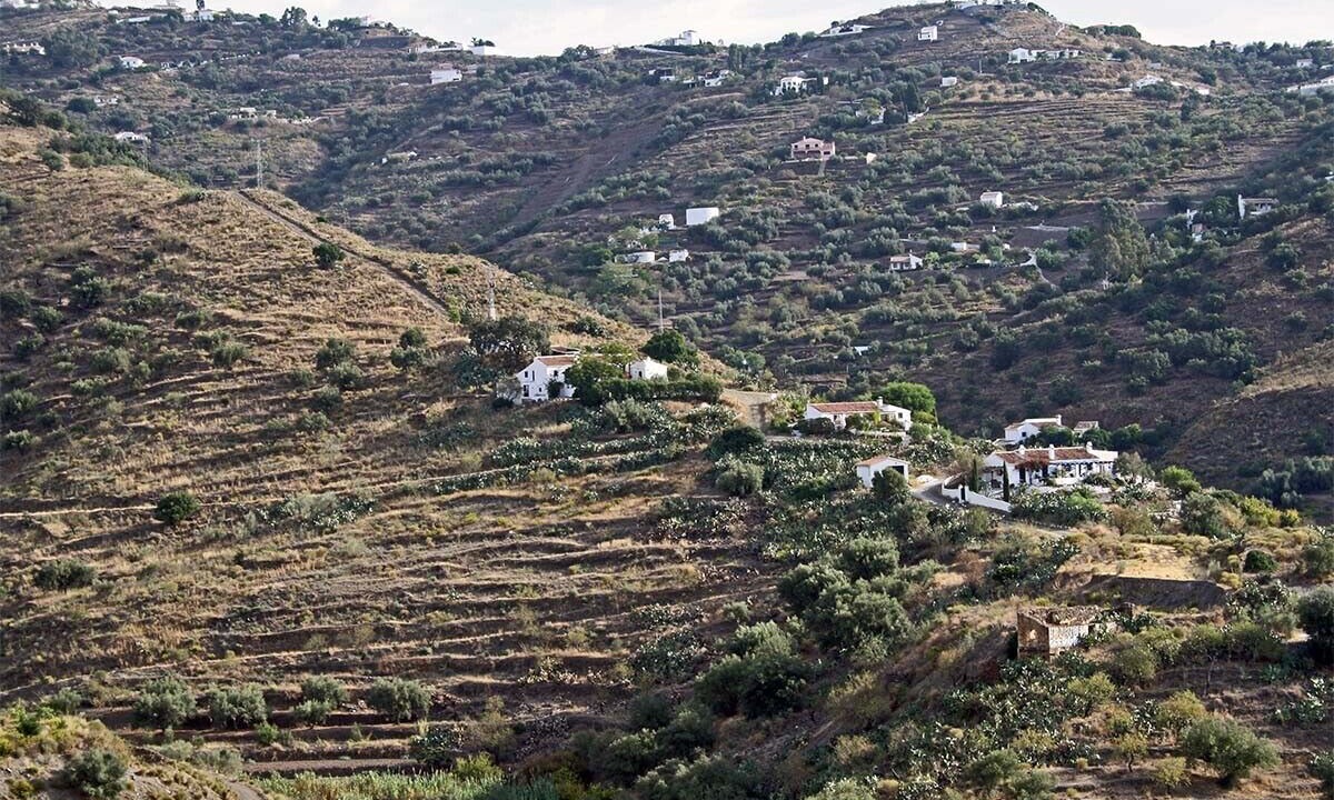 Photo of Outdoor in Sayalonga
