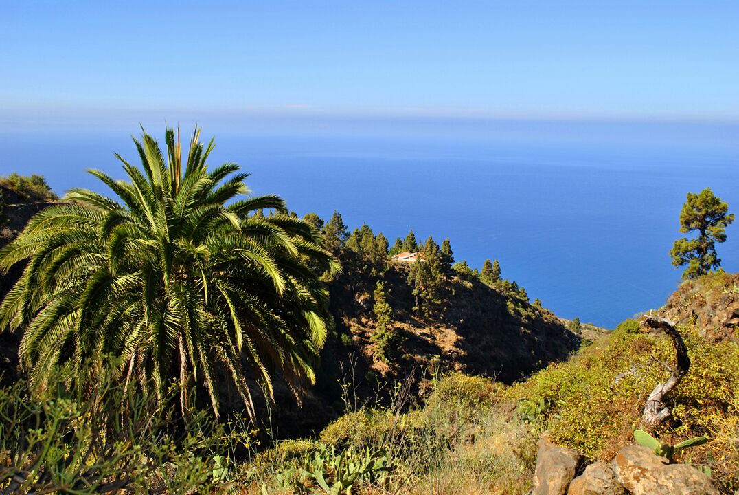 Photo of Outdoor in Tijarafe