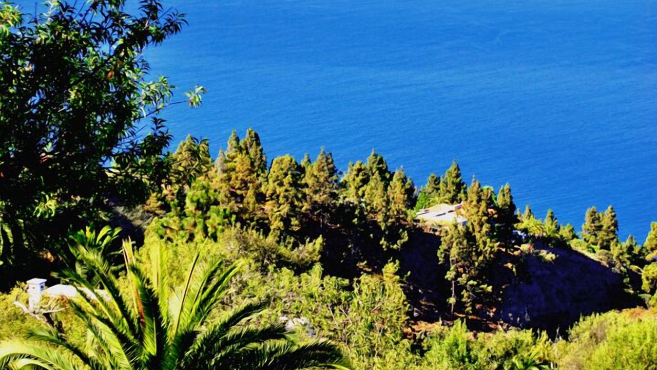 Photo of Outdoor in Tijarafe