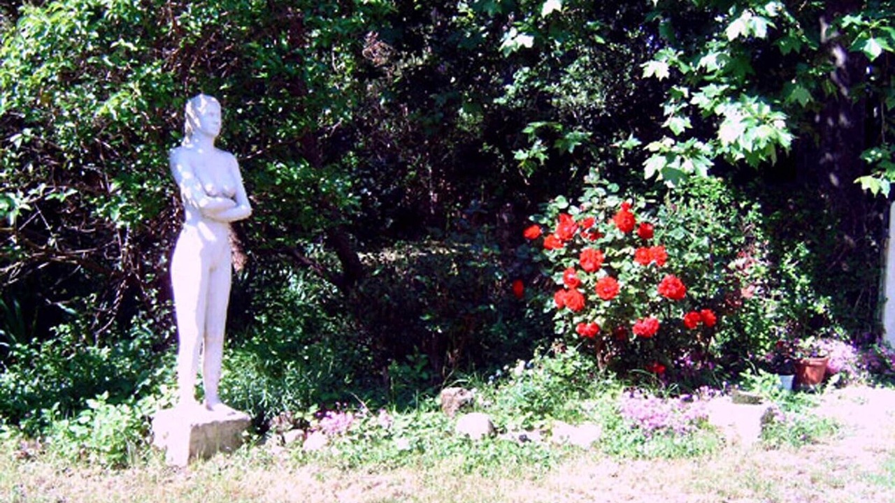 Photo of Outdoor in Noves