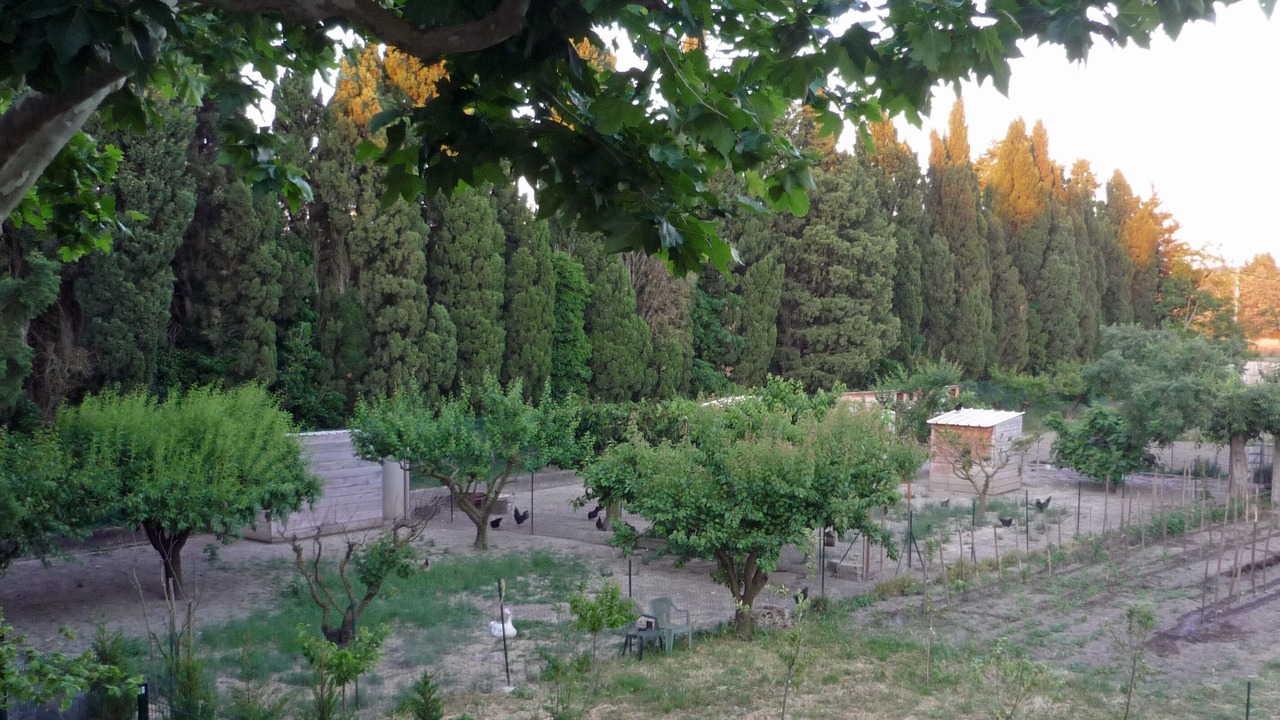Photo of Outdoor in Noves