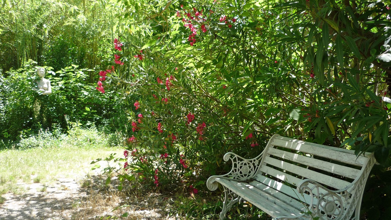 Photo of Outdoor in Noves