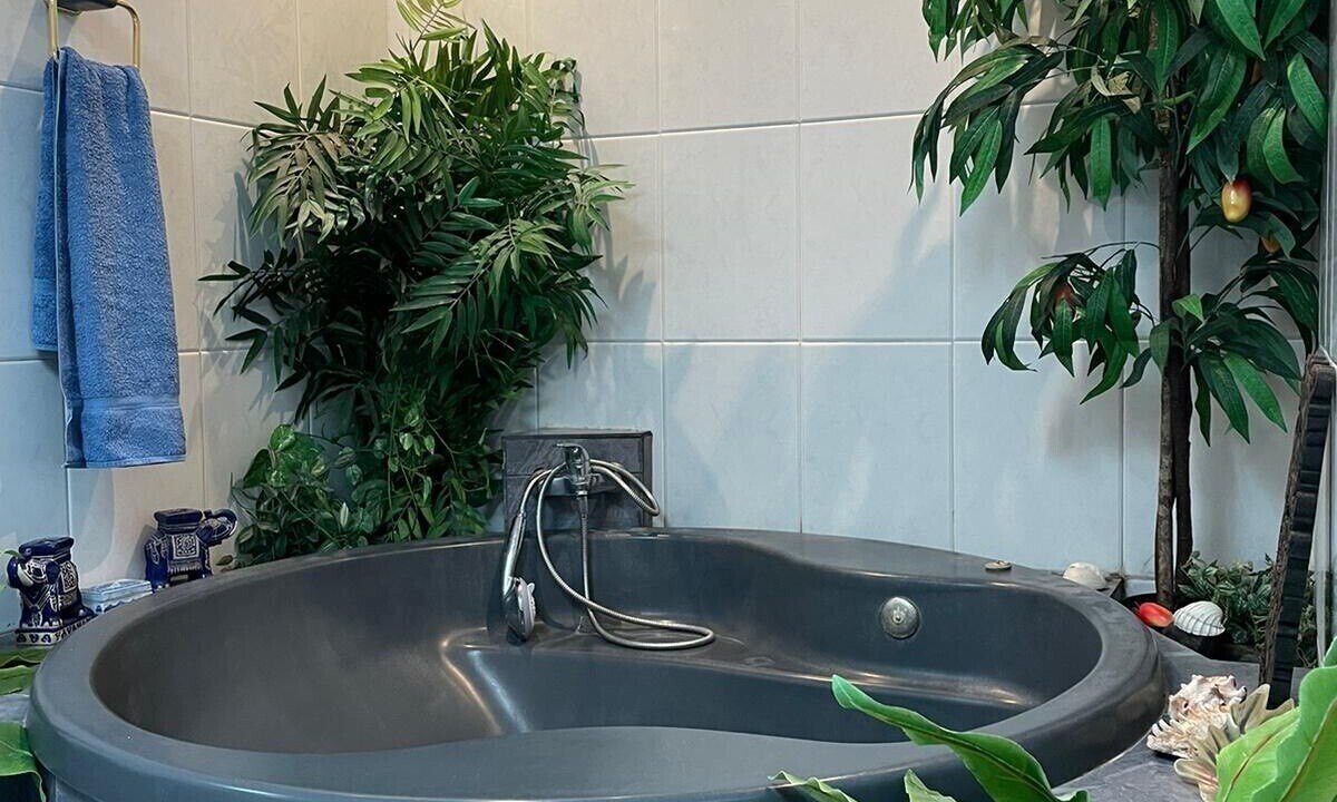 Photo of Bathroom in Los Realejos