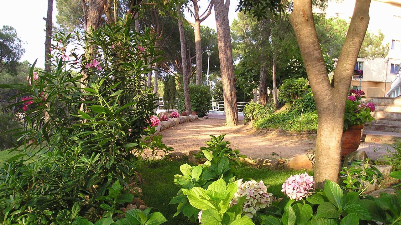 Photo of Outdoor in Sant Feliu de Guixols