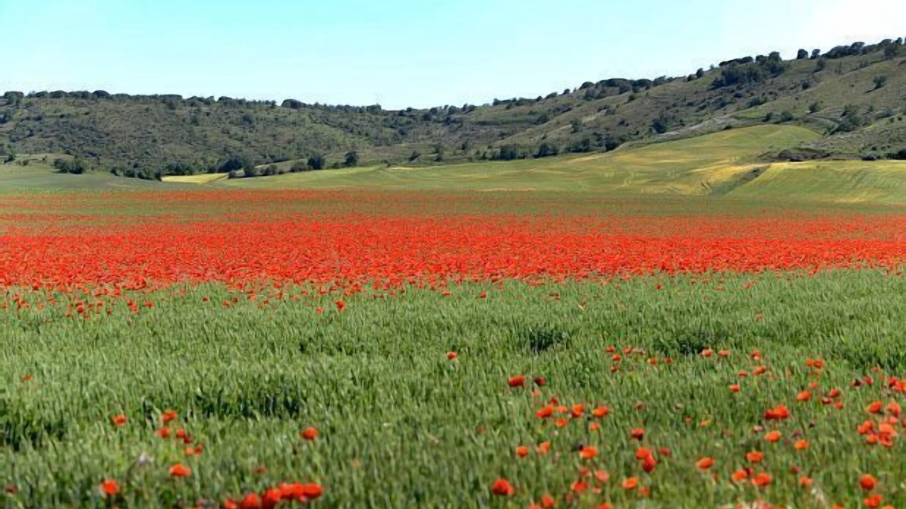 Photo of Outdoor in Baltanas