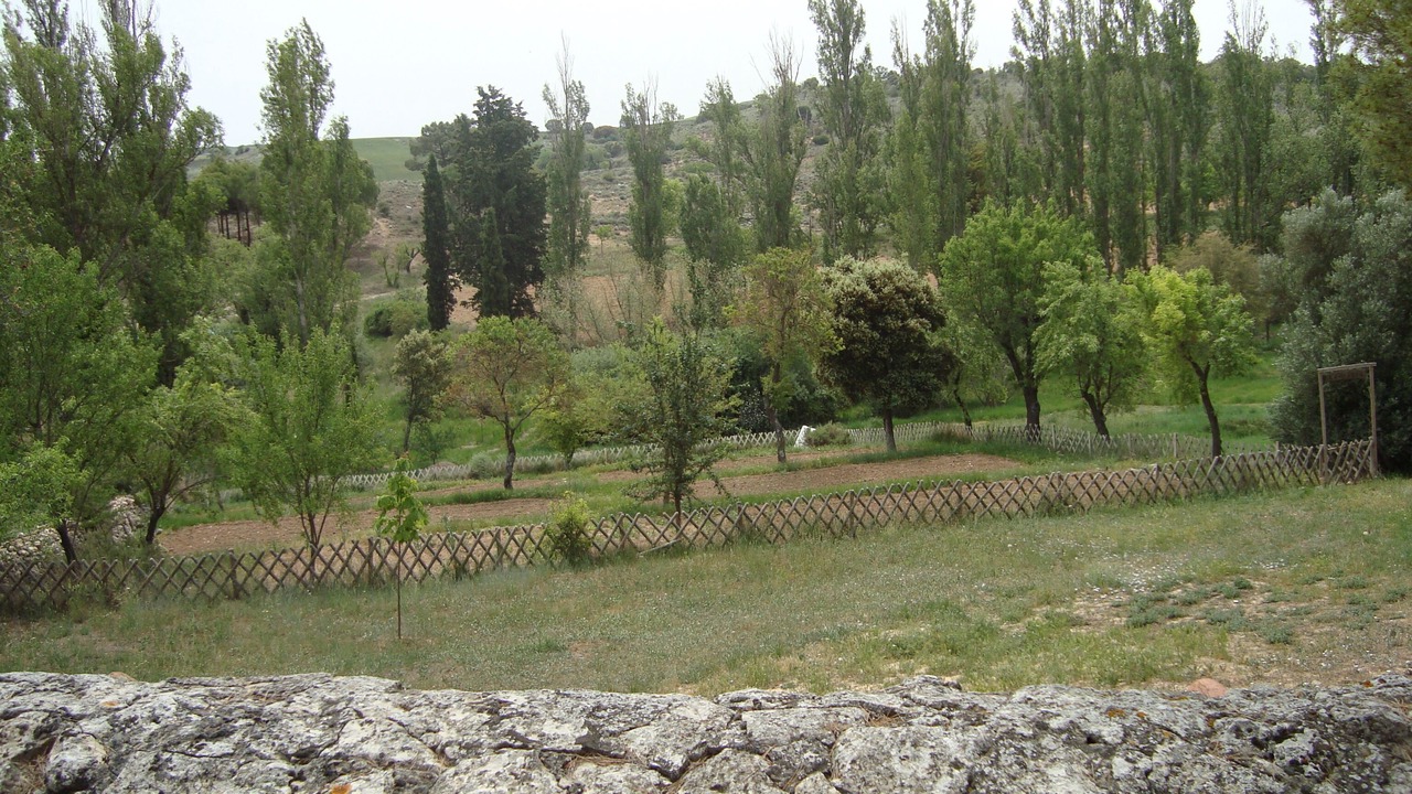 Photo of Outdoor in Baltanas