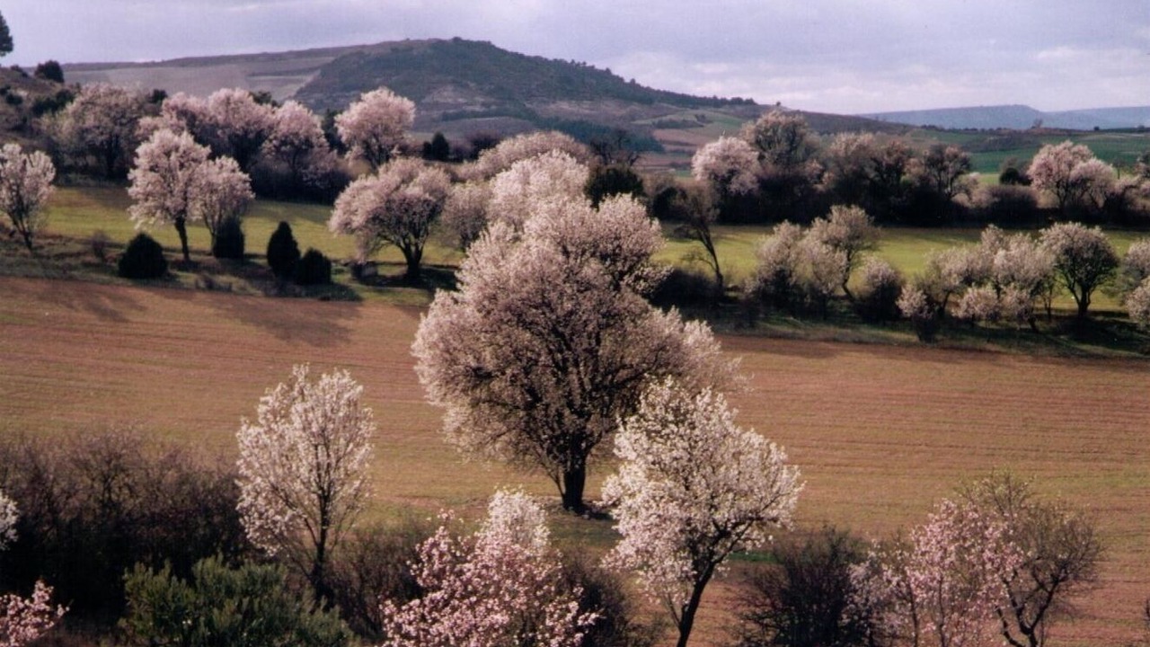 Photo of Outdoor in Baltanas