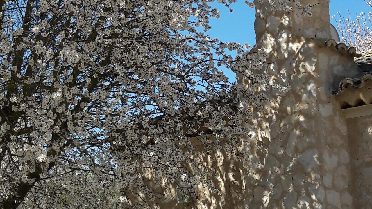 Photo of Outdoor in Baltanas