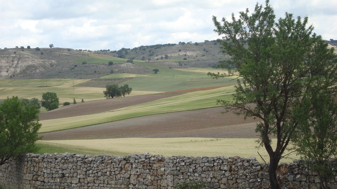 Photo of Others in Baltanas