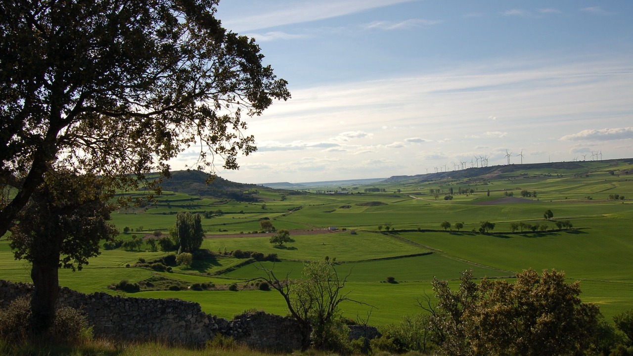 Photo of Others in Baltanas